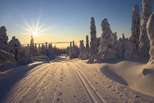 8 Tage Finnisches Winter Wunderland