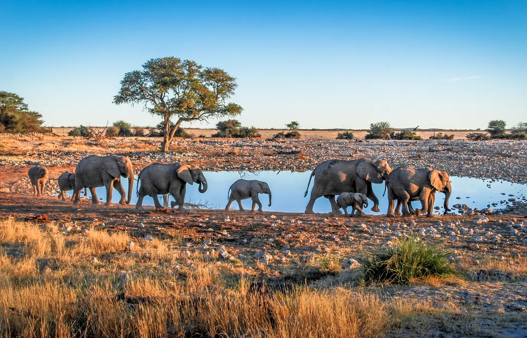 14 Tage Naturwunder Namibia, Botswana und Simbabwe