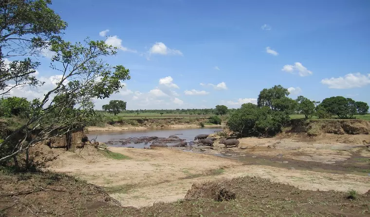 Afrika Safari - Nilpferde am Wasserloch, Kenia