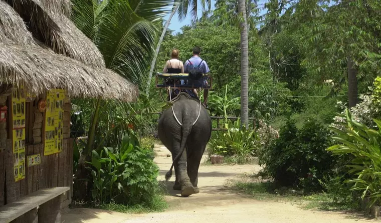 Thailand Reise - Elefanten-Camp