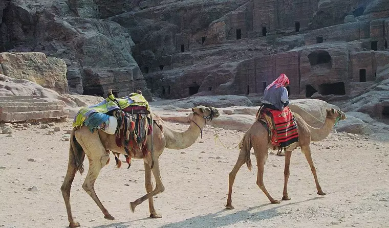 Jordanien Reise - Beduine Wüstenbewohner auf Kamel