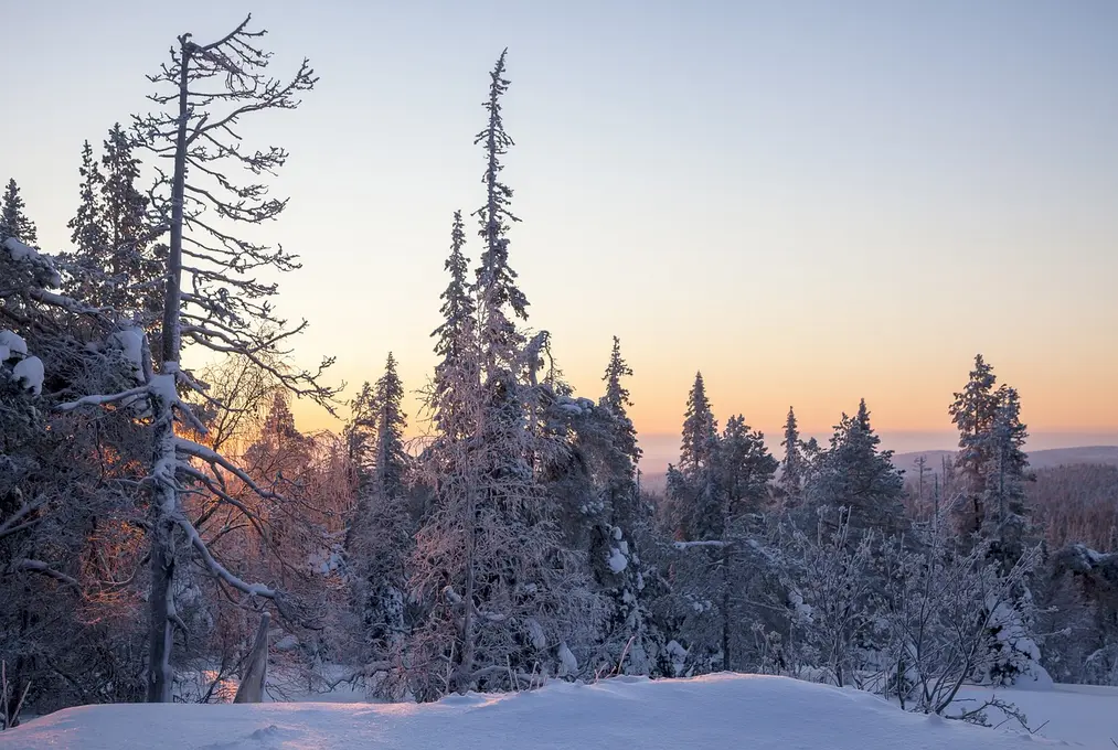 8 Tage Finnisches Winter Wunderland