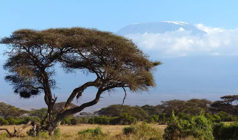 Kenia - Blick auf den Kilimanjaro 