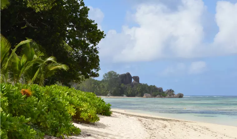 Strand der Seychellen Insel La Digue