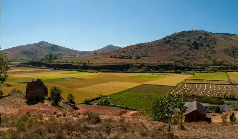 Landschaft Madagaskars