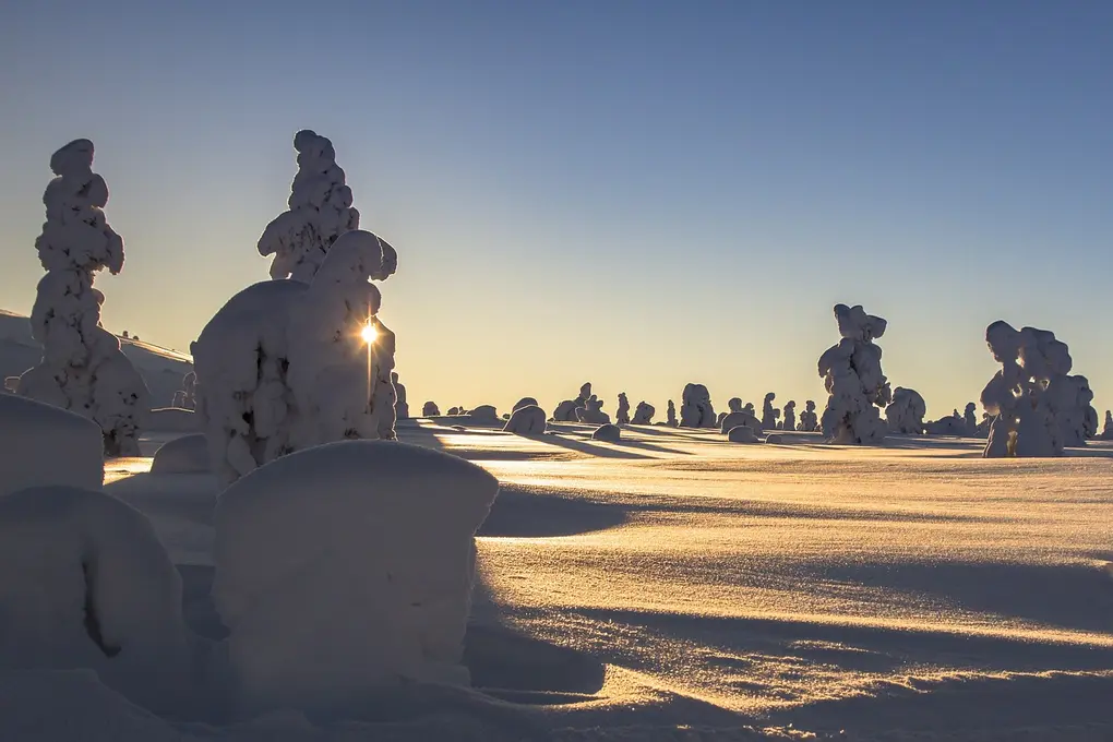 8 Tage Finnisches Winter Wunderland