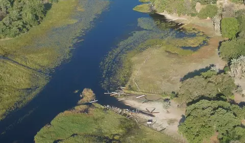 Afrika Reisen - Okavango Delta, Botswana 