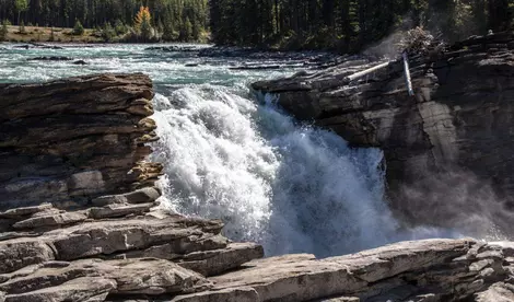 Athabasca_Falls