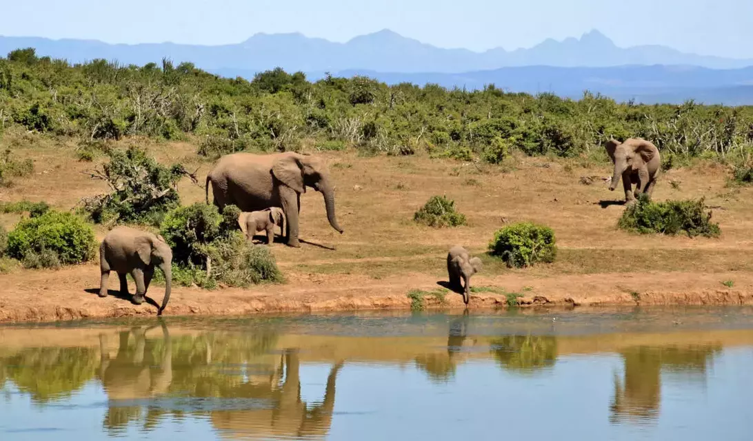 Südafrika Rundreisen und Südafrika Safaris