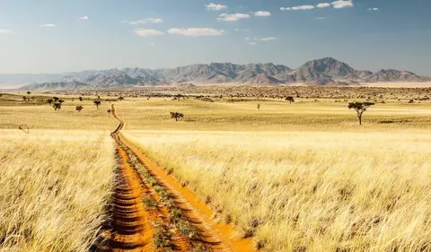 Afrika Reisen: Kalahari Wüste, Namibia