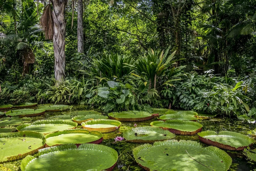 17 Tage Brasilianische Kontraste