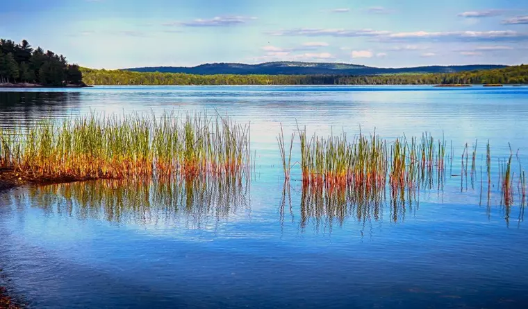 Algonquin_Park